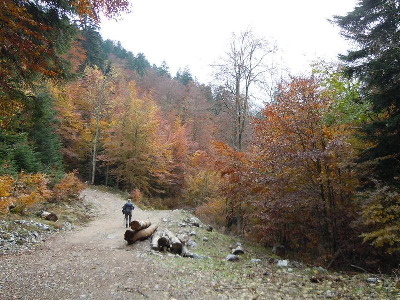 HPD Kamenar Galerija slika BURNI BITORAJ, 29.10.2011. od Brestove
